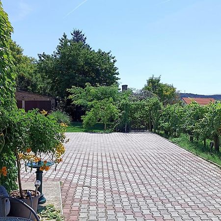 T.H.Ny Village Inn Cottage Tihany Dış mekan fotoğraf